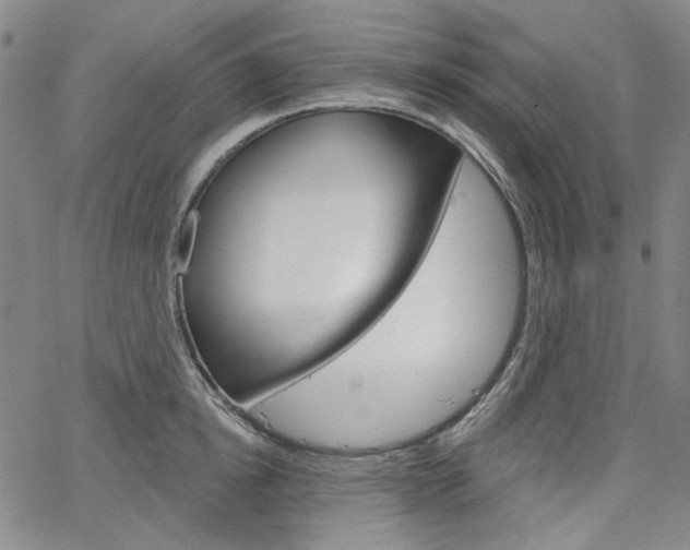 X0000064740854200602100931