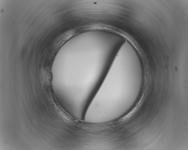 X0000064740857200602100931