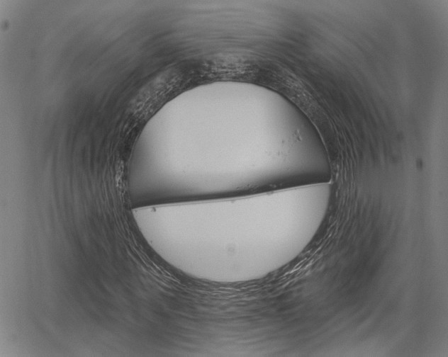 X0000064740867200602100931