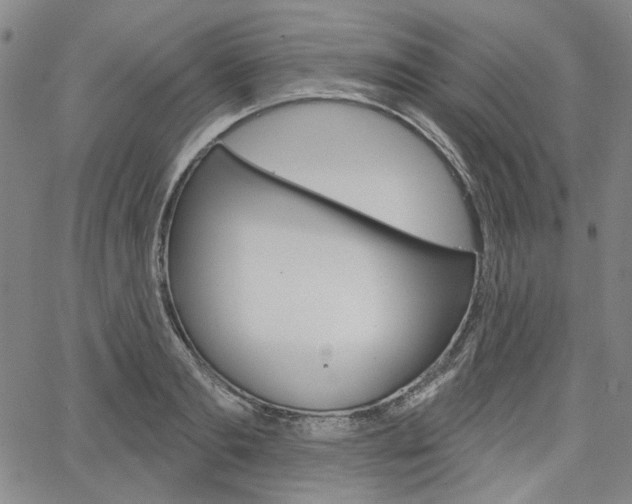 X0000064740893200602100930