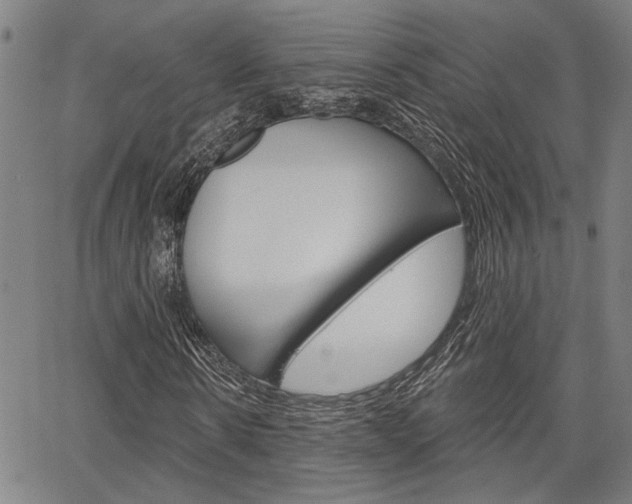 X0000064740914200602100929