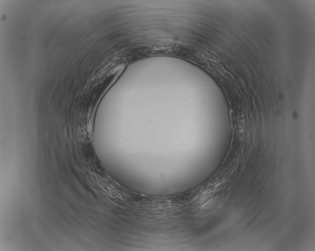 X0000064740916200602100929