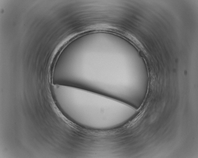 X0000064740939200602100930