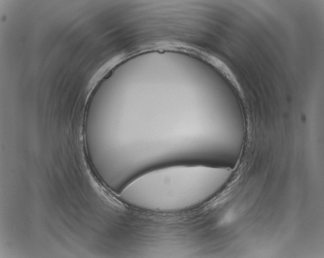 X0000064740954200602100930