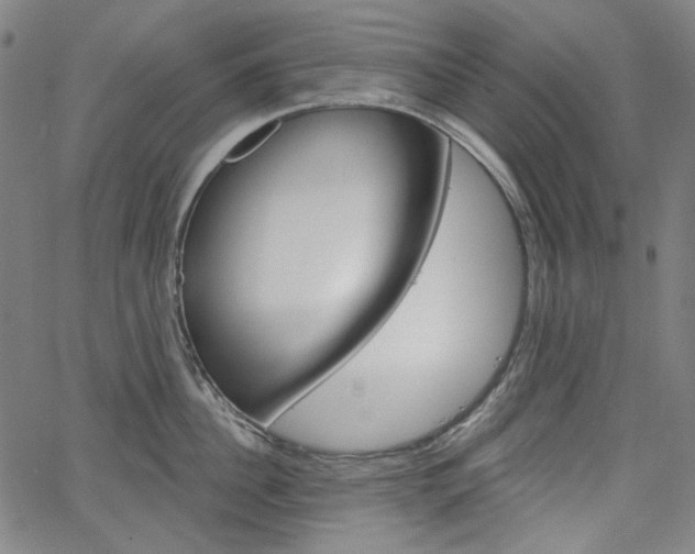 X0000064740956200602100930