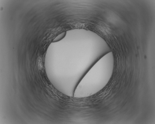 X0000064740962200602100929