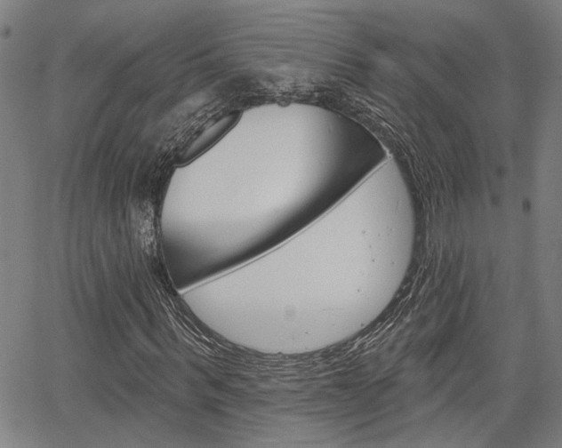 X0000064740963200602100929