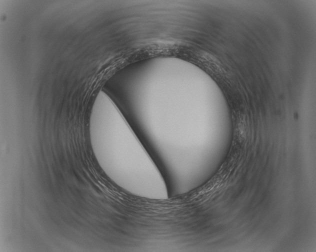 X0000064740964200602100929