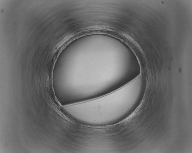 X0000064740969200602100929