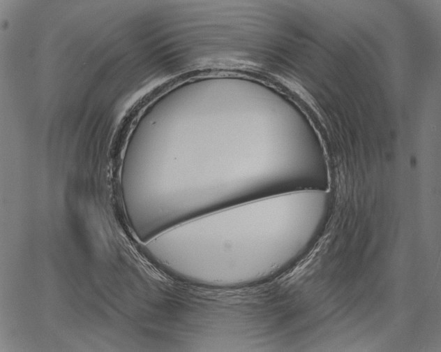 X0000064740971200602100929