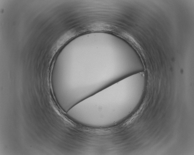 X0000064740986200602100929