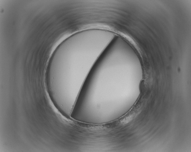 X0000064740999200602100929