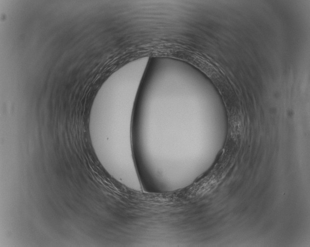 X0000064741010200602100928
