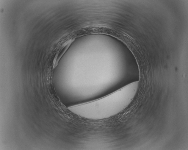 X0000064741014200602100928