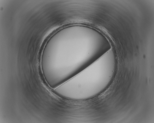 X0000064741024200602100928