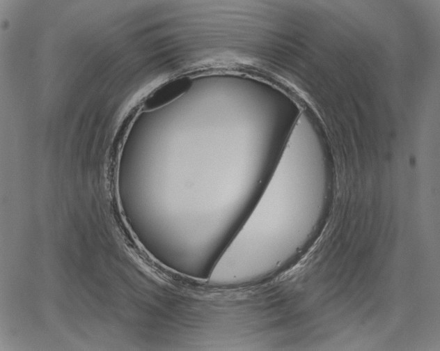 X0000064741026200602100928