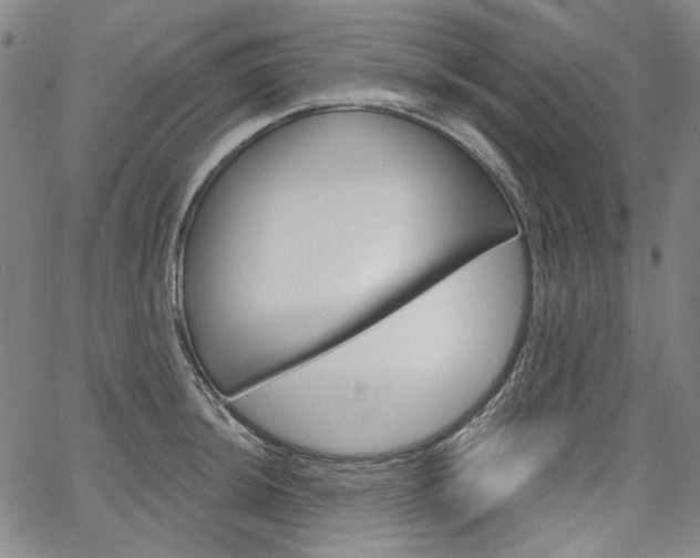X0000064741044200602100928