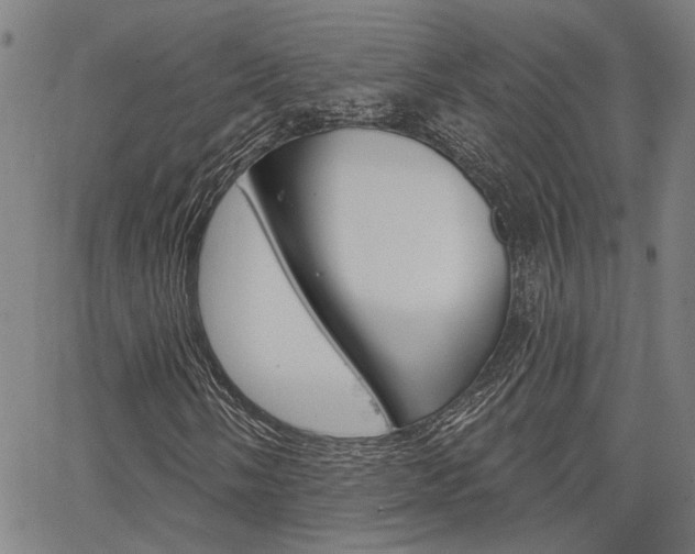 X0000064741058200602100928