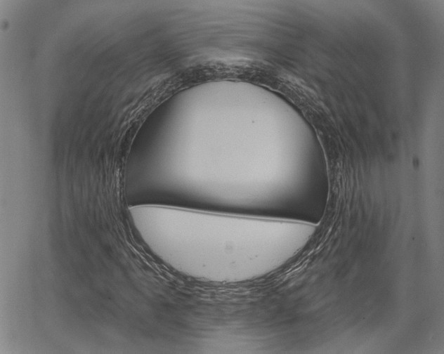 X0000064741061200602100928