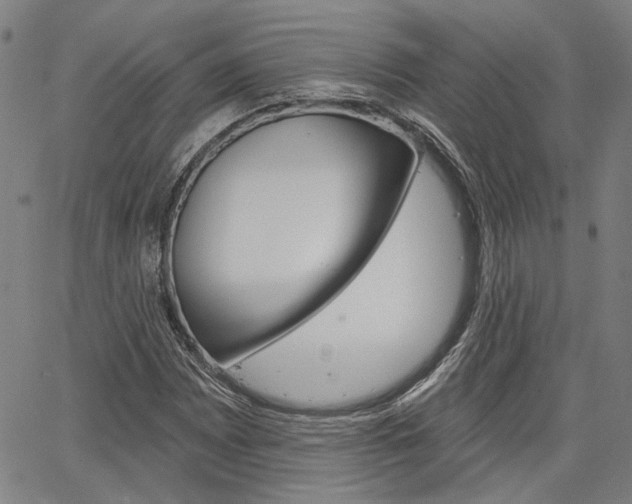 X0000064741065200602100928