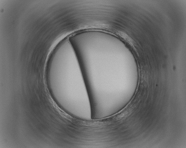 X0000064741072200602100927