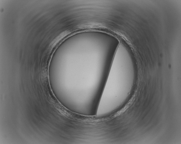 X0000064741073200602100927