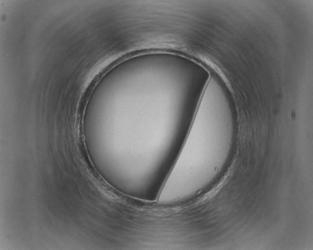 X0000064741077200602100927