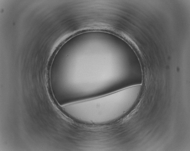 X0000064741085200602100927