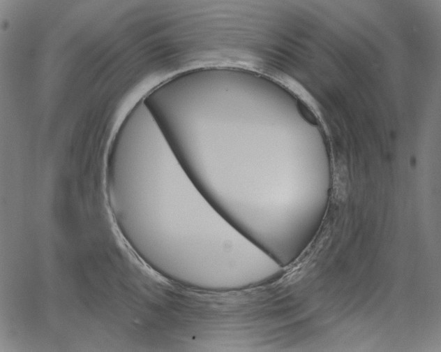 X0000064741096200602100927