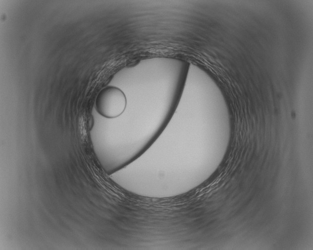 X0000064741106200602100926