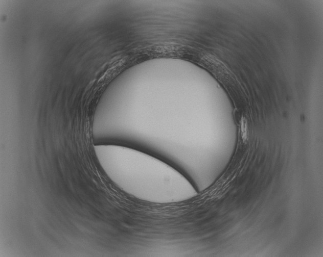 X0000064741107200602100926