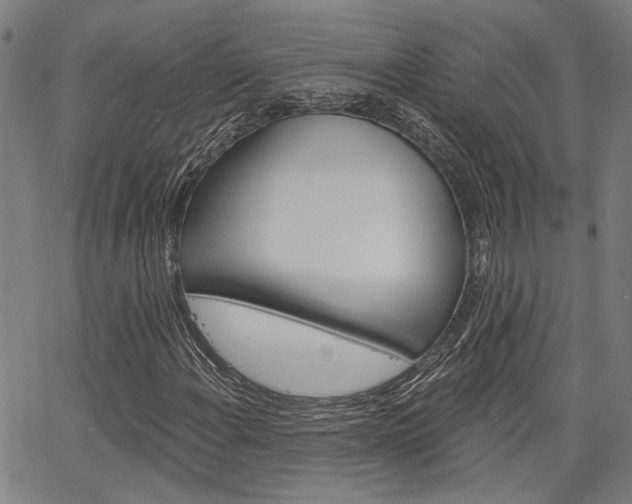X0000064741108200602100926