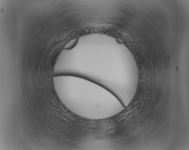 X0000064741109200602100926