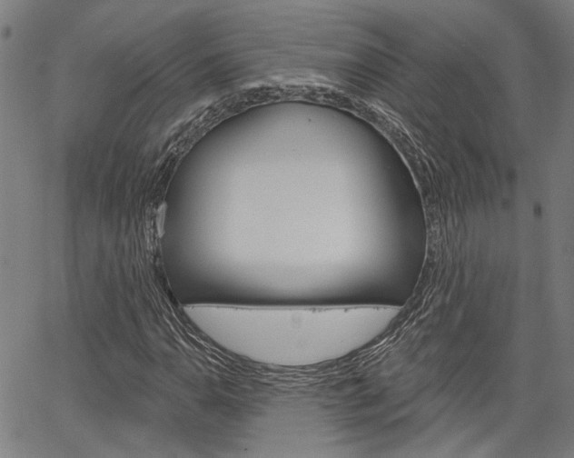 X0000064741110200602100926