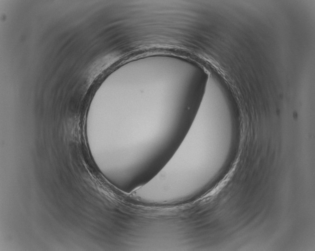 X0000064741113200602100926