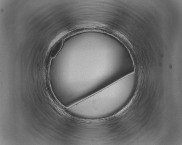 X0000064741114200602100926