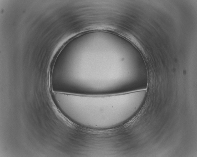 X0000064741132200602100927