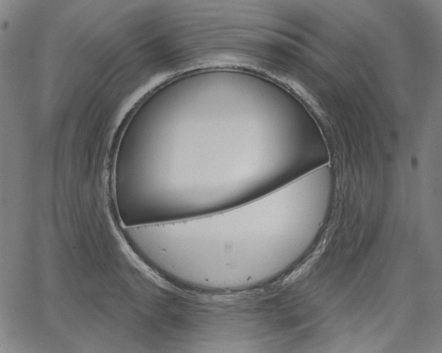 X0000064741134200602100927