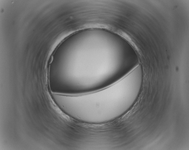 X0000064741140200602100927