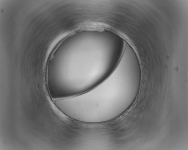 X0000064741152200602100927
