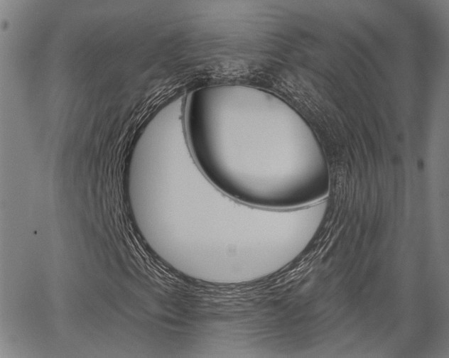 X0000064741153200602100926