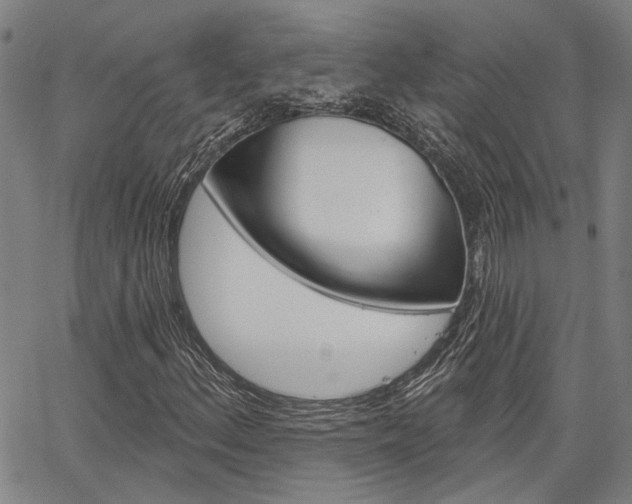 X0000064741156200602100926