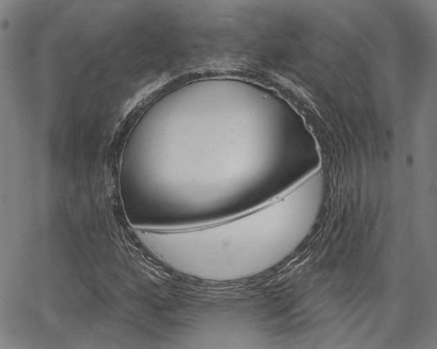 X0000064741160200602100926