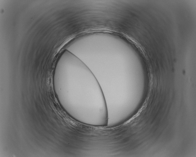 X0000064741162200602100926