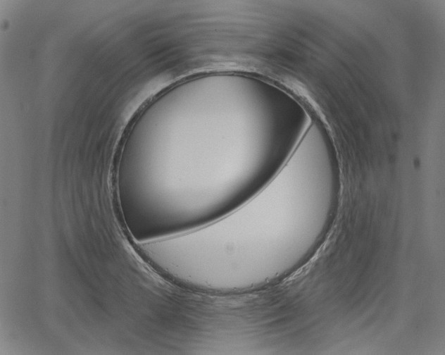 X0000064741181200602100926