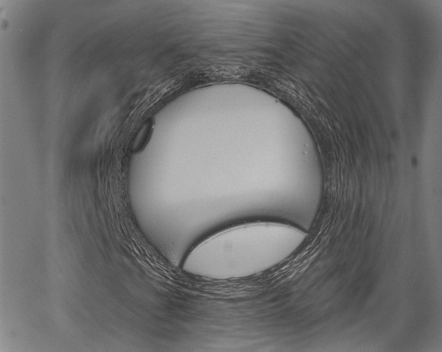 X0000064741201200602100925