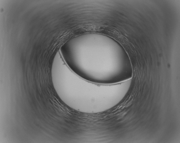 X0000064741202200602100925
