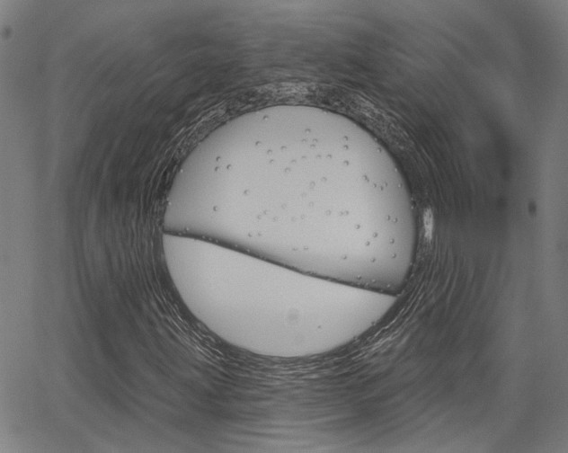 X0000064741203200602100925