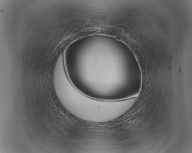 X0000064741206200602100925