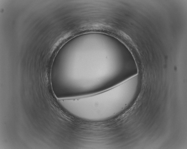 X0000064741218200602100925